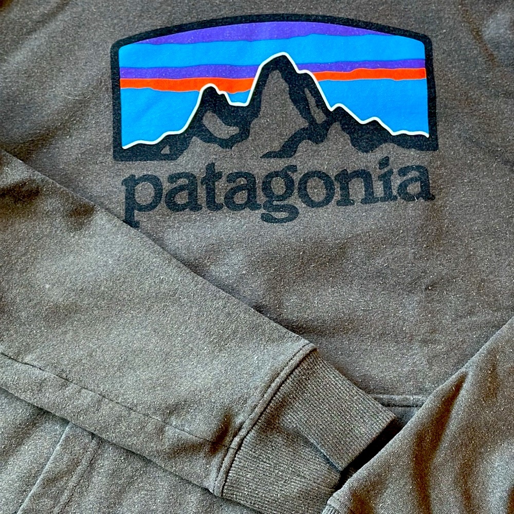Patagonia Fitz Roy Horizons Uprisal Hoodie - Picture 4 of 6